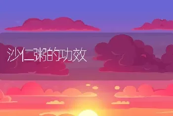 沙仁粥的功效