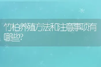 竹柏养殖方法和注意事项有哪些?