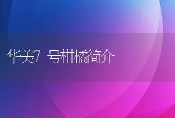 华美7号柑橘简介