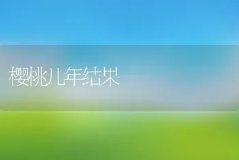 樱桃几年结果