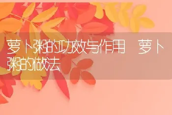 萝卜粥的功效与作用 萝卜粥的做法