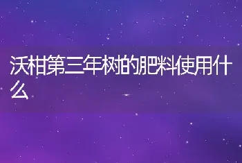 沃柑第三年树的肥料使用什么