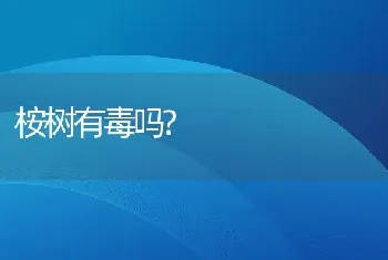 桉树有毒吗?