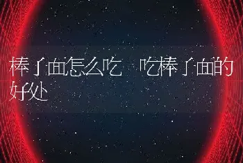 棒子面怎么吃 吃棒子面的好处