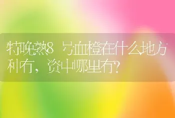 特晚熟8号血橙在什么地方种有，资中哪里有？