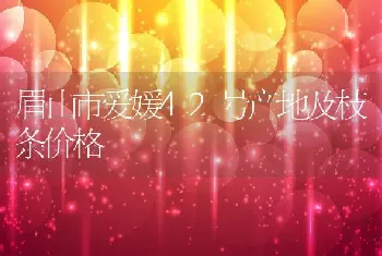 眉山市爱媛42号产地及枝条价格