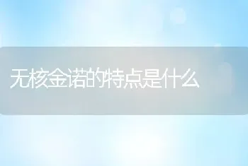 无核金诺的特点是什么