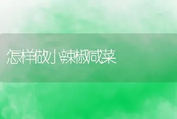 怎样做小辣椒咸菜