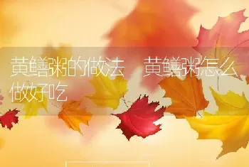 黄鳝粥的做法 黄鳝粥怎么做好吃