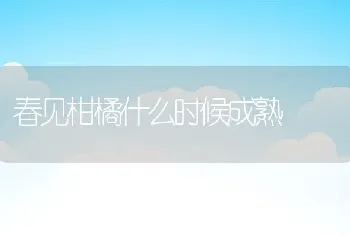 春见柑橘什么时候成熟