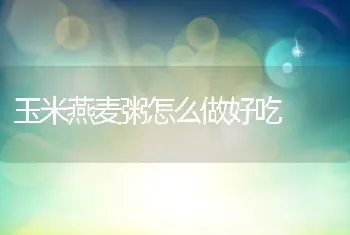 玉米燕麦粥怎么做好吃