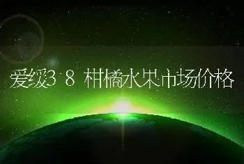 爱缓38柑橘水果市场价格