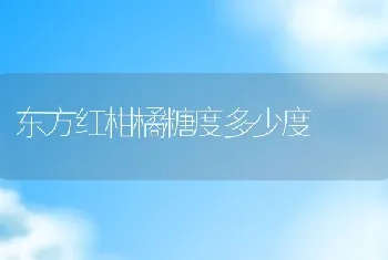 东方红柑橘糖度多少度