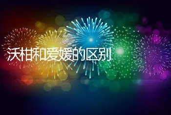 沃柑和爱媛的区别