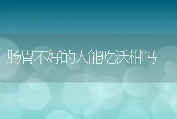 肠胃不好的人能吃沃柑吗