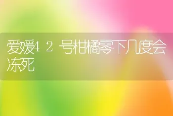 爱媛42号柑橘零下几度会冻死