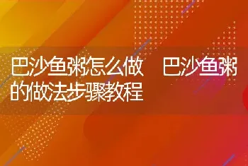 巴沙鱼粥怎么做 巴沙鱼粥的做法步骤教程