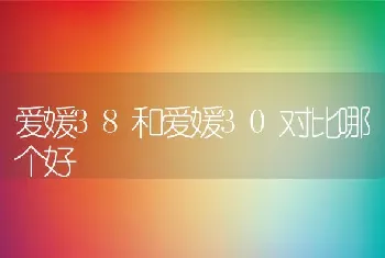 爱媛38和爱媛30对比哪个好