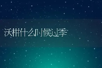 沃柑什么时候过季