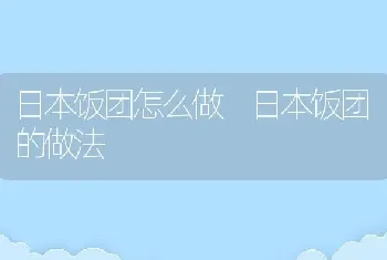 日本饭团怎么做 日本饭团的做法