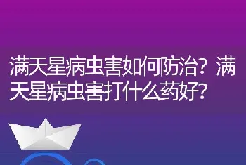 满天星病虫害如何防治？满天星病虫害打什么药好？