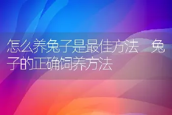 怎么养兔子是最佳方法 兔子的正确饲养方法