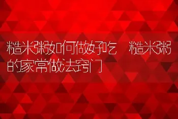 糙米粥如何做好吃 糙米粥的家常做法窍门