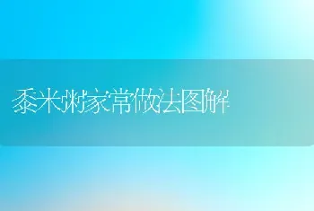 黍米粥家常做法图解