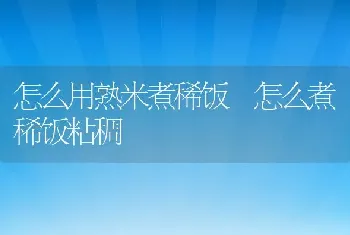 怎么用熟米煮稀饭 怎么煮稀饭粘稠