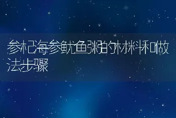 参杞海参鱿鱼粥的材料和做法步骤