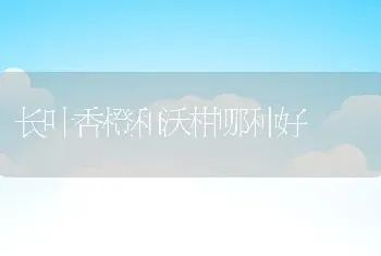 长叶香橙和沃柑哪种好