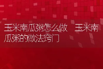 玉米南瓜粥怎么做 玉米南瓜粥的做法窍门