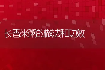 长香米粥的做法和功效