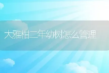 大雅柑二年幼树怎么管理