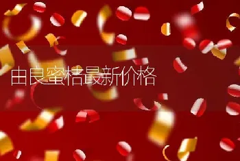 由良蜜桔最新价格