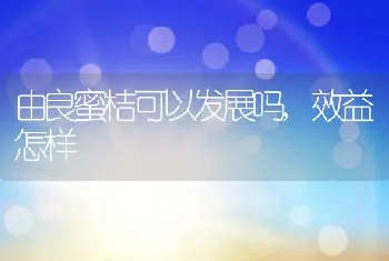 由良蜜桔可以发展吗,效益怎样