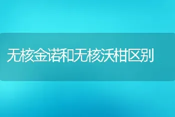 无核金诺和无核沃柑区别