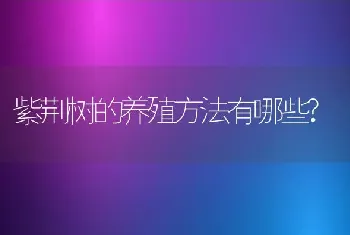 紫荆树的养殖方法有哪些?