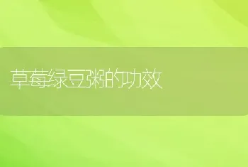 草莓绿豆粥的功效