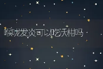 喉咙发炎可以吃沃柑吗