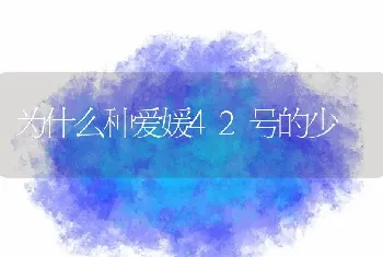 为什么种爱媛42号的少