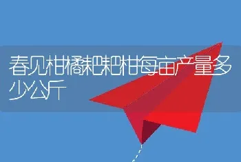 春见柑橘耙耙柑每亩产量多少公斤