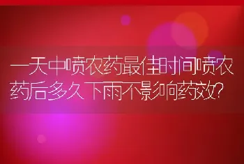 一天中喷农药最佳时间喷农药后多久下雨不影响药效？