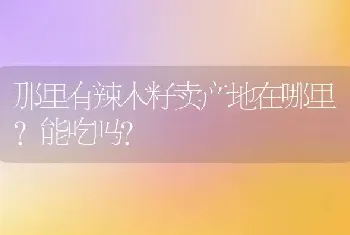 那里有辣木籽卖产地在哪里？能吃吗？