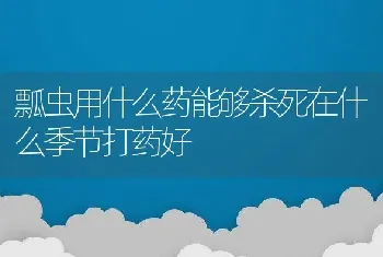 瓢虫用什么药能够杀死在什么季节打药好