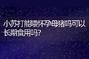 小苏打能喂怀孕母猪吗可以长期食用吗？