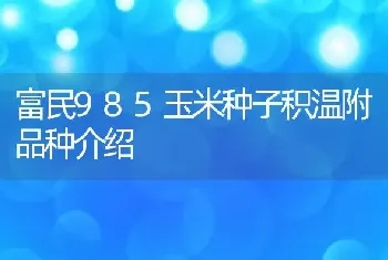 富民985玉米种子积温附品种介绍