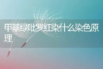 甲基绿吡罗红染什么染色原理