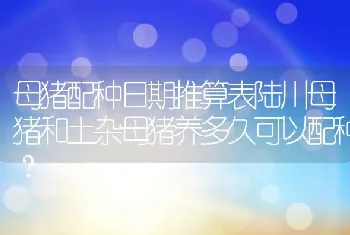 母猪配种日期推算表陆川母猪和土杂母猪养多久可以配种？