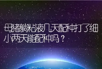 母猪躺粘液几天配种打了细小两天能配种吗？